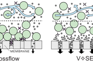Vibratory Shear Enhanced Process 技术及部分应用总结